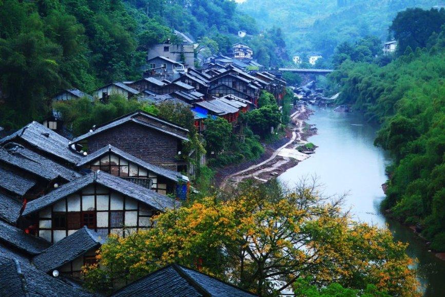 智力水滴